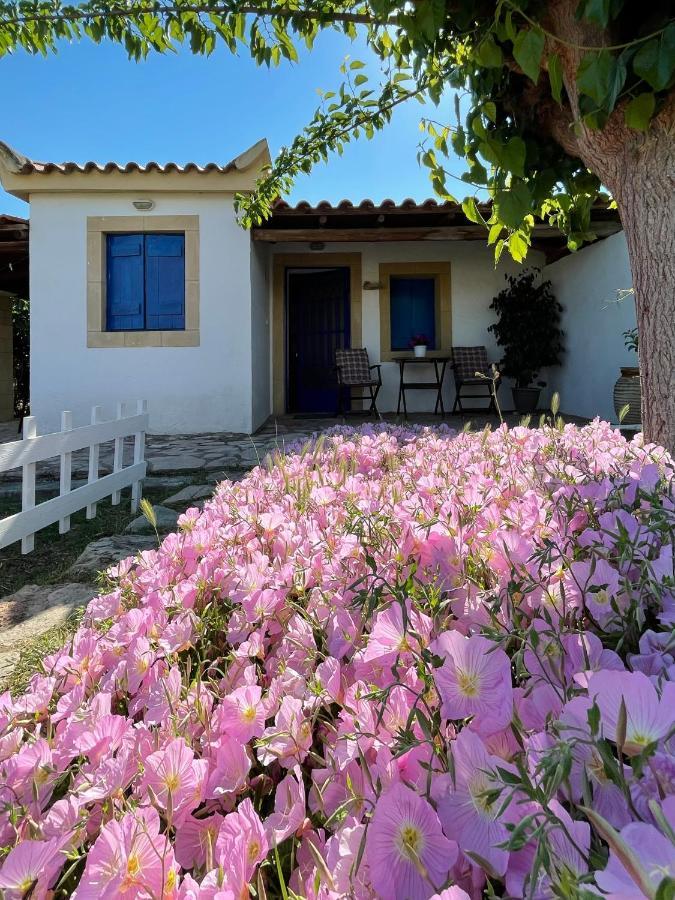 Vasilopoulos Estate Koróni 외부 사진